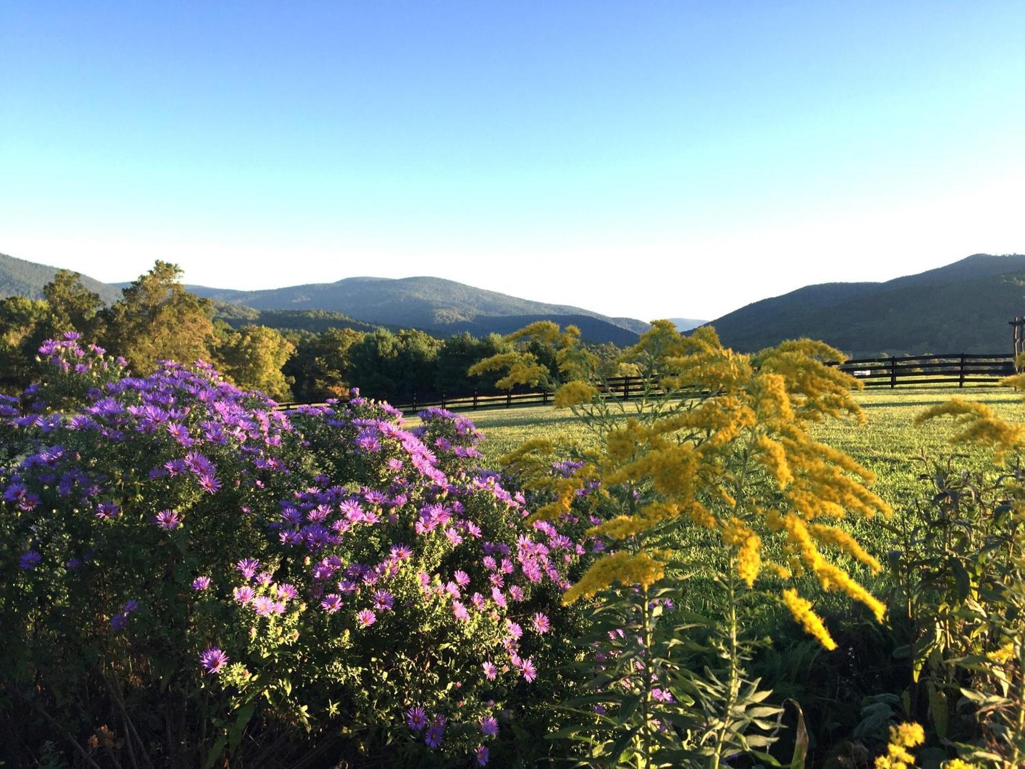 Montfair Resort Farm Crozet Zimmer foto