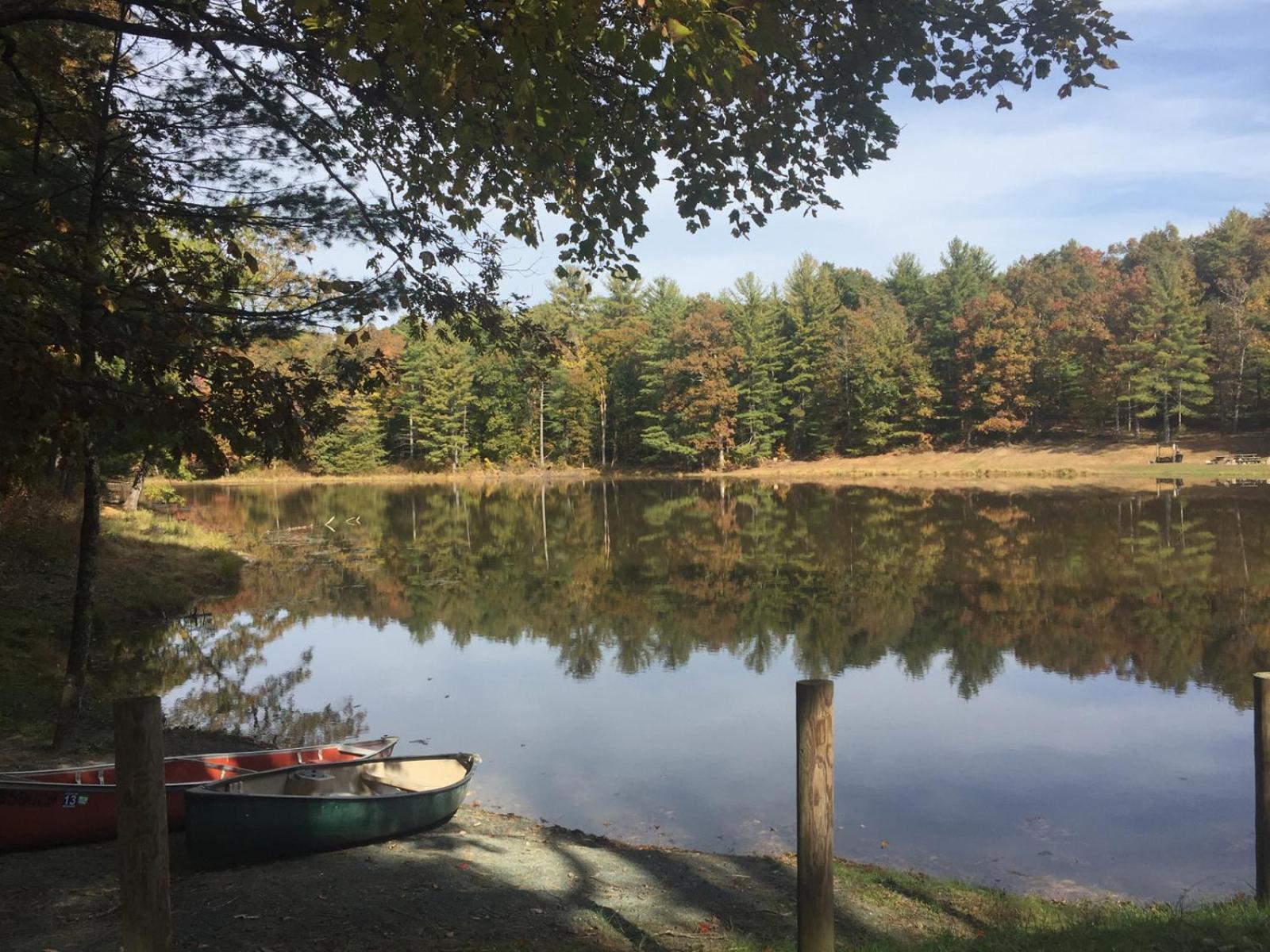 Montfair Resort Farm Crozet Zimmer foto