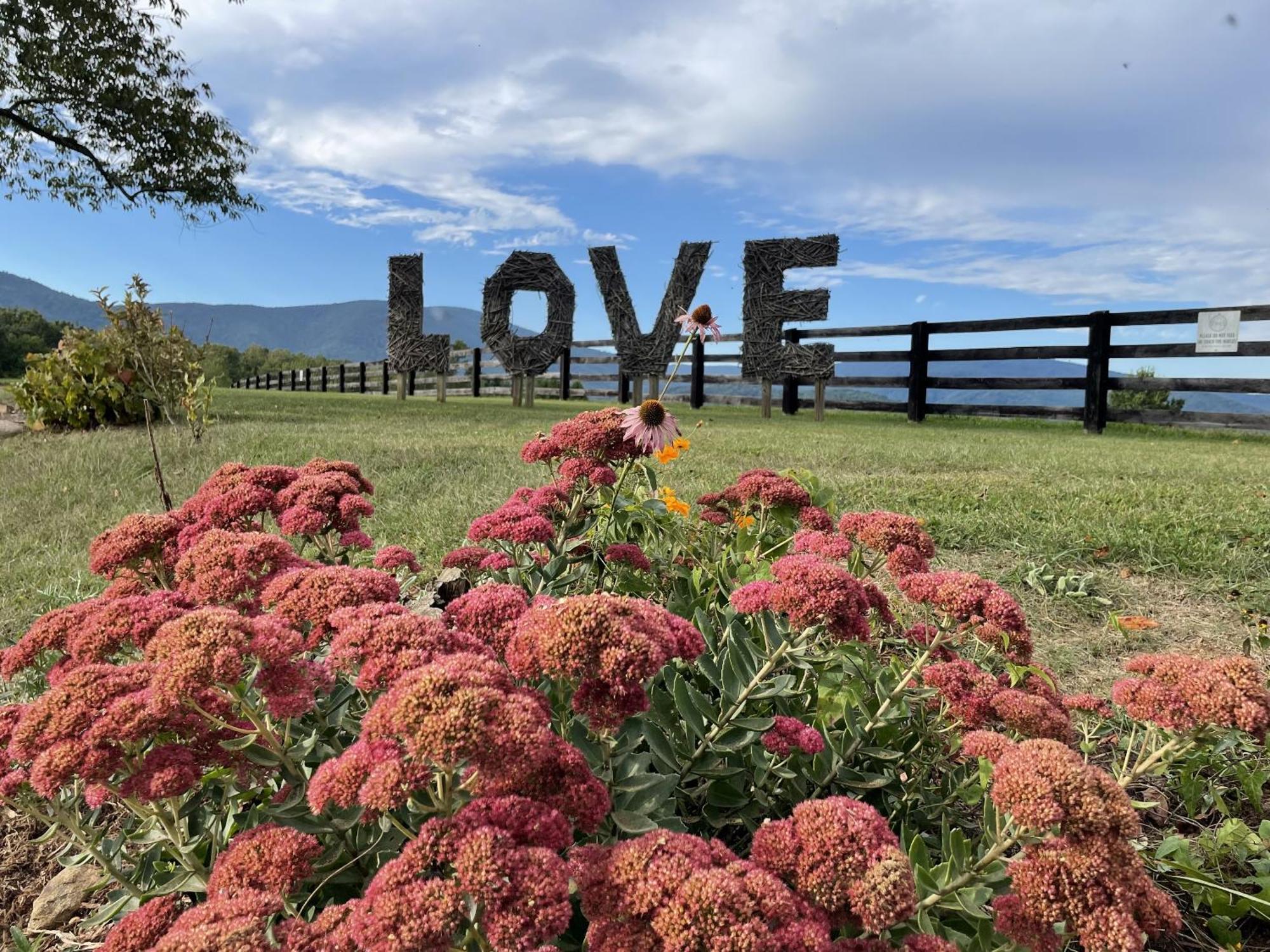 Montfair Resort Farm Crozet Zimmer foto